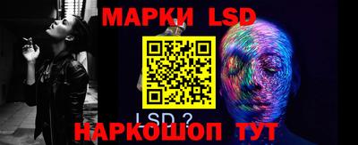 PSILOCYBIN Бугуруслан