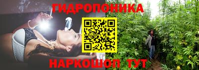 PSILOCYBIN Бугуруслан