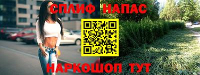 PSILOCYBIN Бугуруслан